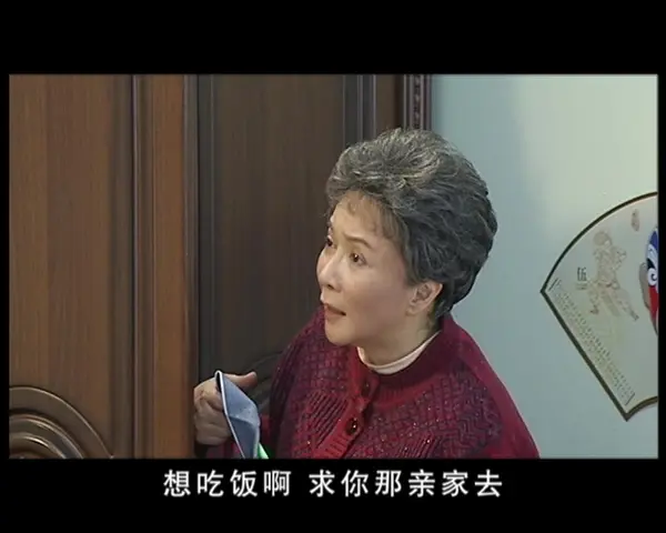 鸡毛蒜皮没小事第二部 2集