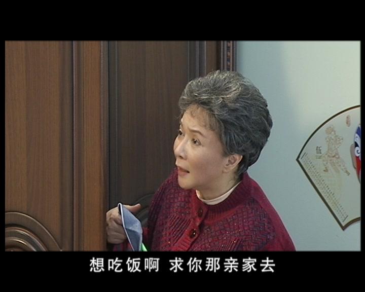 鸡毛蒜皮没小事第二部 第2集视频封面图