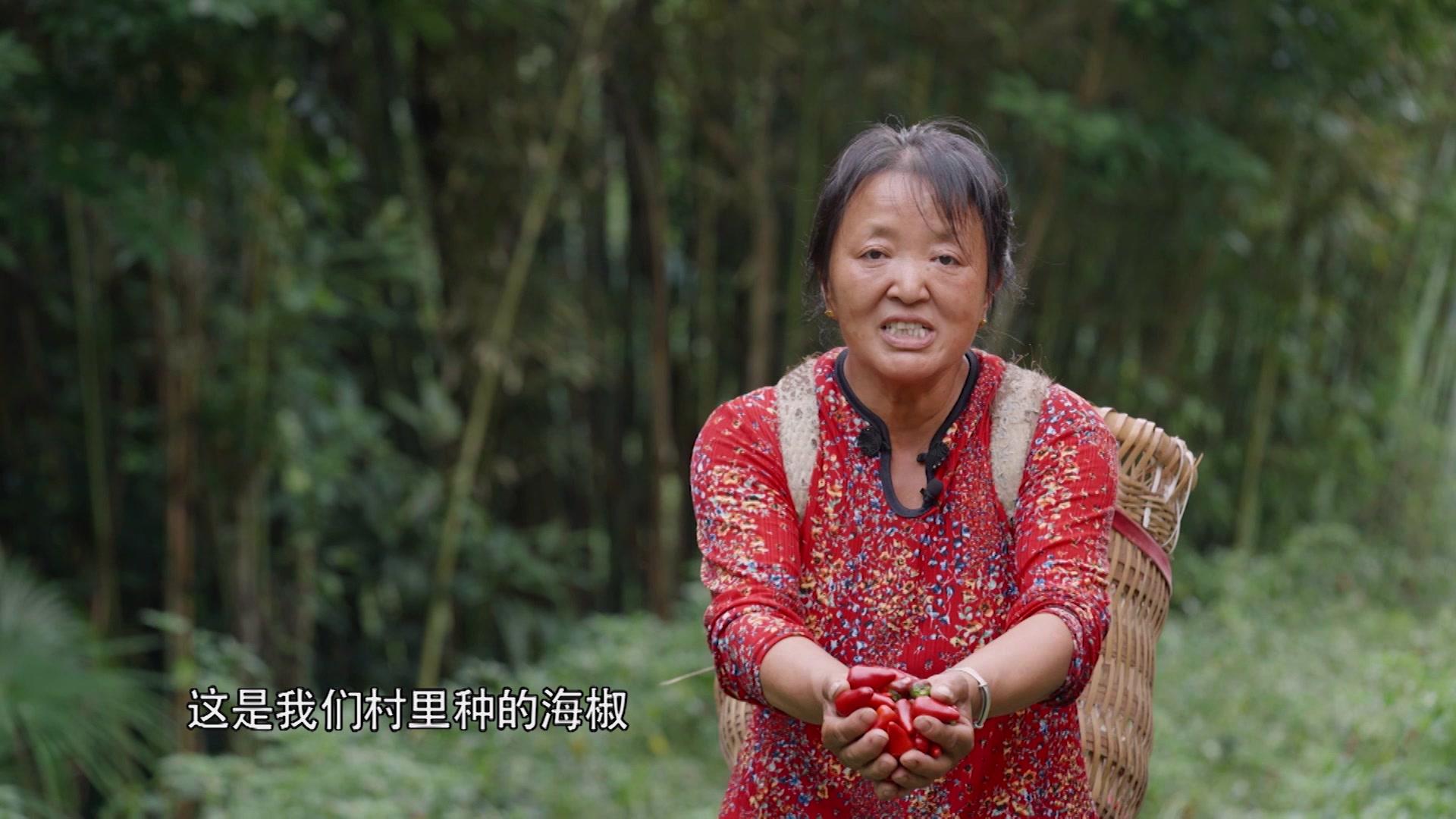 《我们村》第5集视频封面图