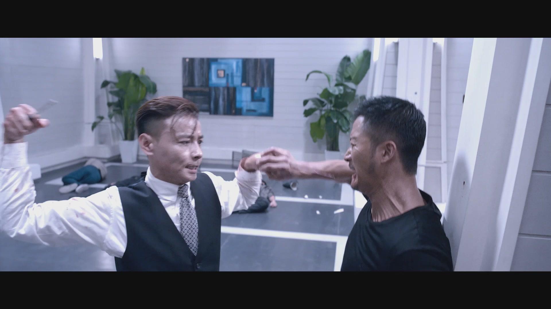 杀破狼2视频封面图