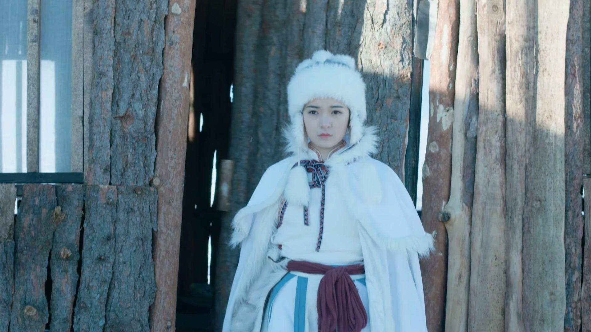 少林寺传奇之东归英雄 第27集视频封面图