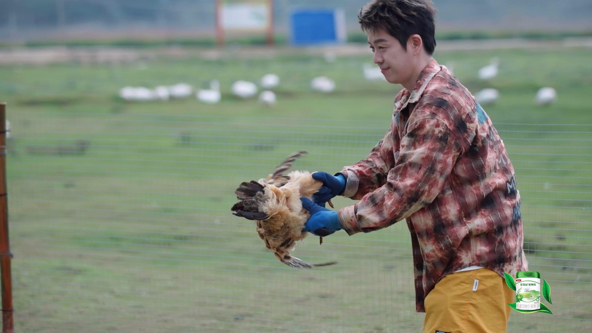 《跟着爸爸去露营第二季》第2期视频封面图