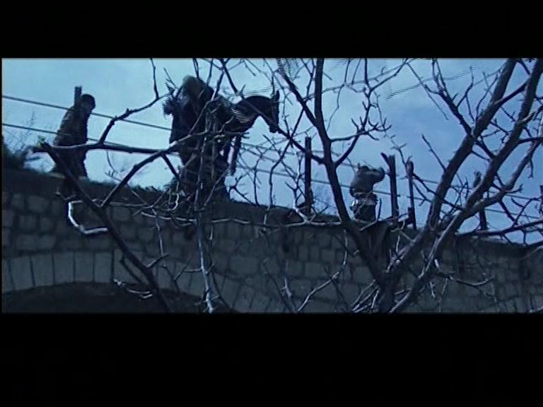 天大地大 第30集视频封面图