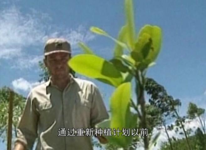 《环游世界之极地求生》第9集