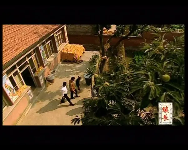 镇长 2集