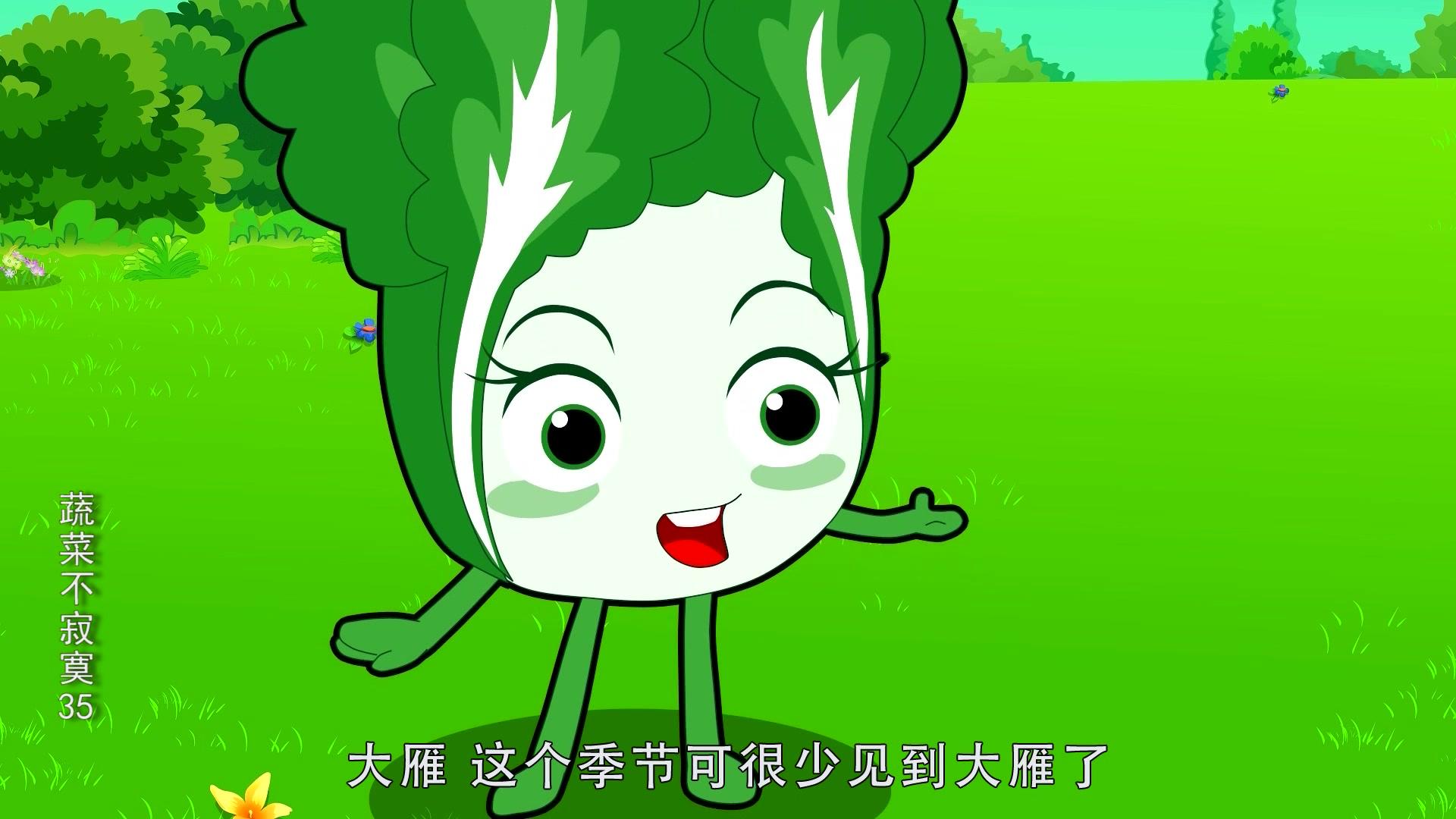 蔬菜不寂寞第三十五季 第4集视频封面图
