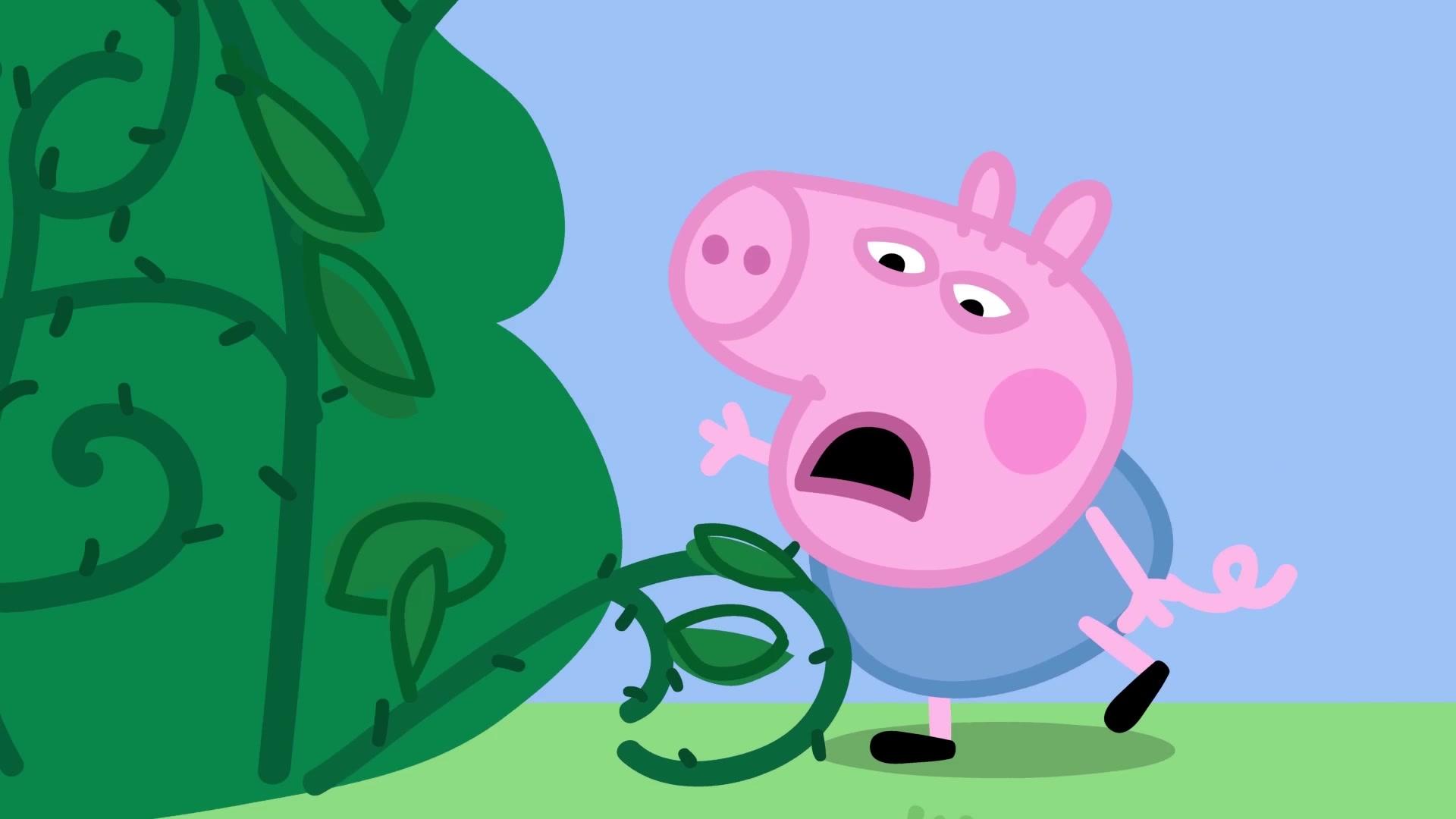 小猪佩奇之爱好来培养 第9集视频封面图