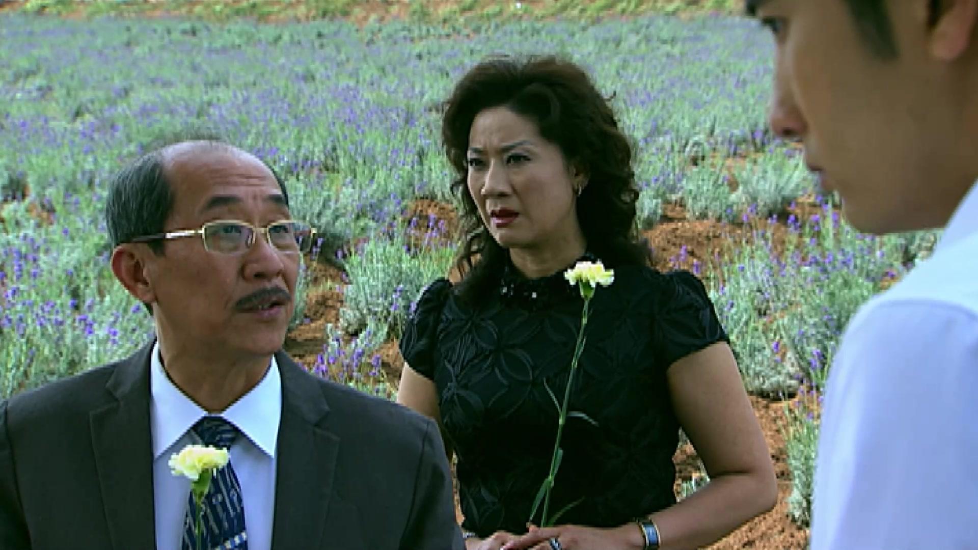 一生何求 第16集视频封面图