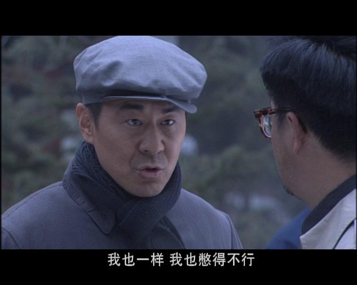 光荣岁月 第37集视频封面图
