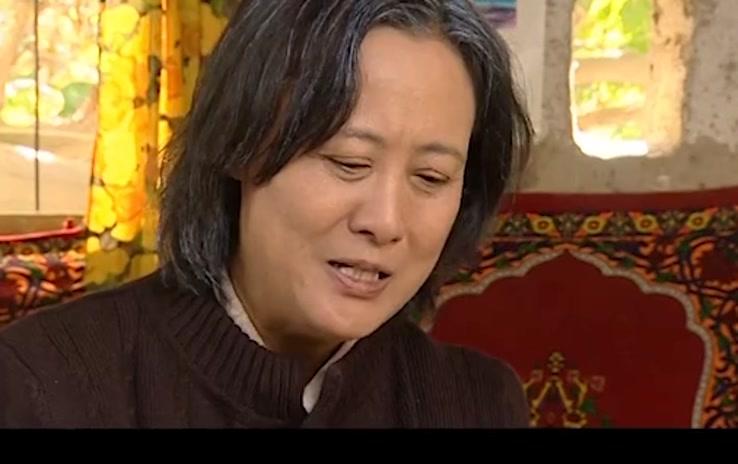 青树 第7集视频封面图