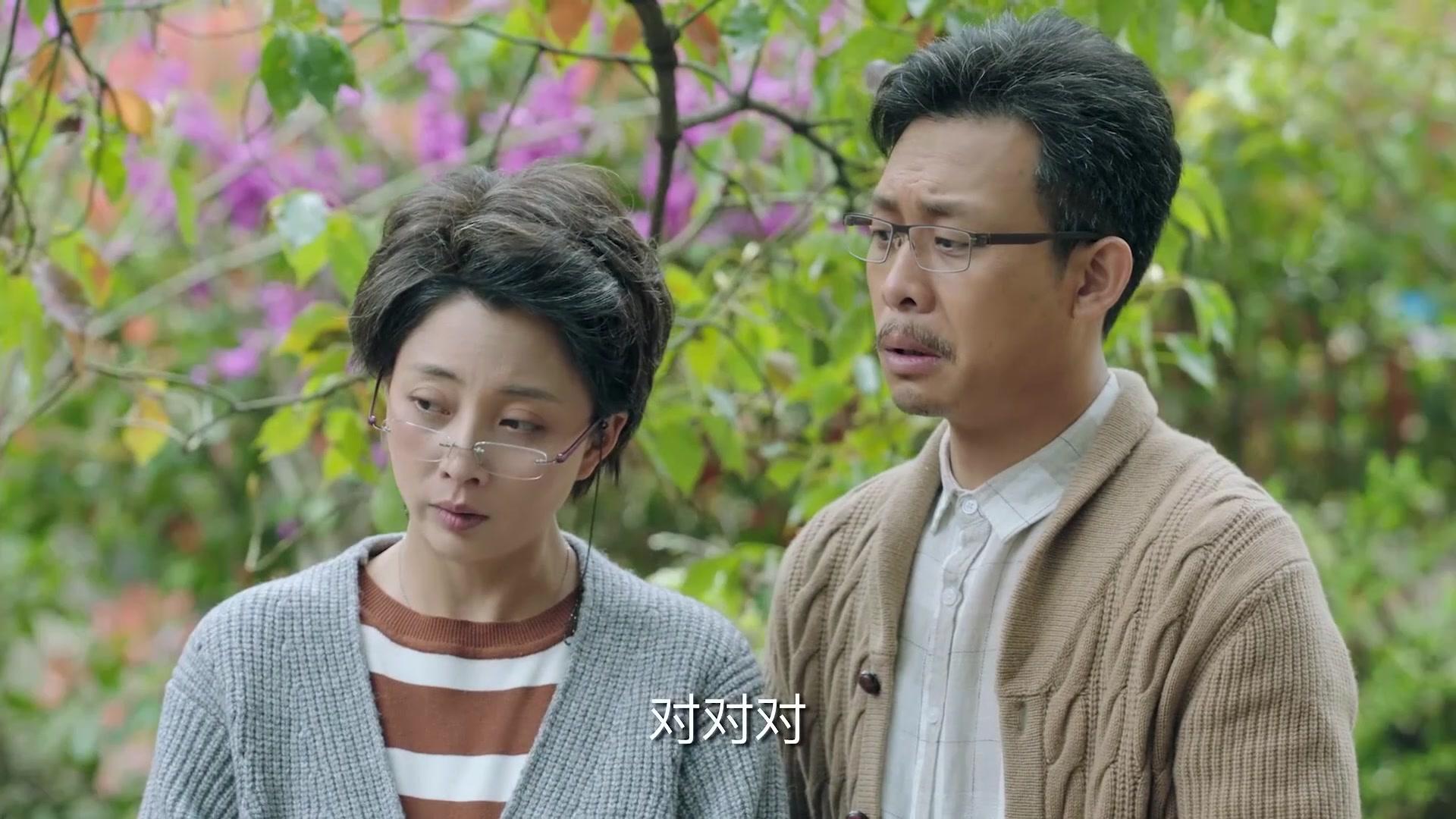 鸡毛飞上天 第54集视频封面图