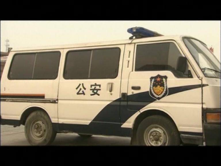 女子特案组 第19集视频封面图