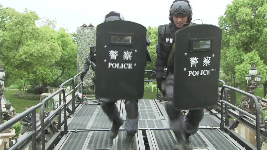 特种兵之火凤凰 30集