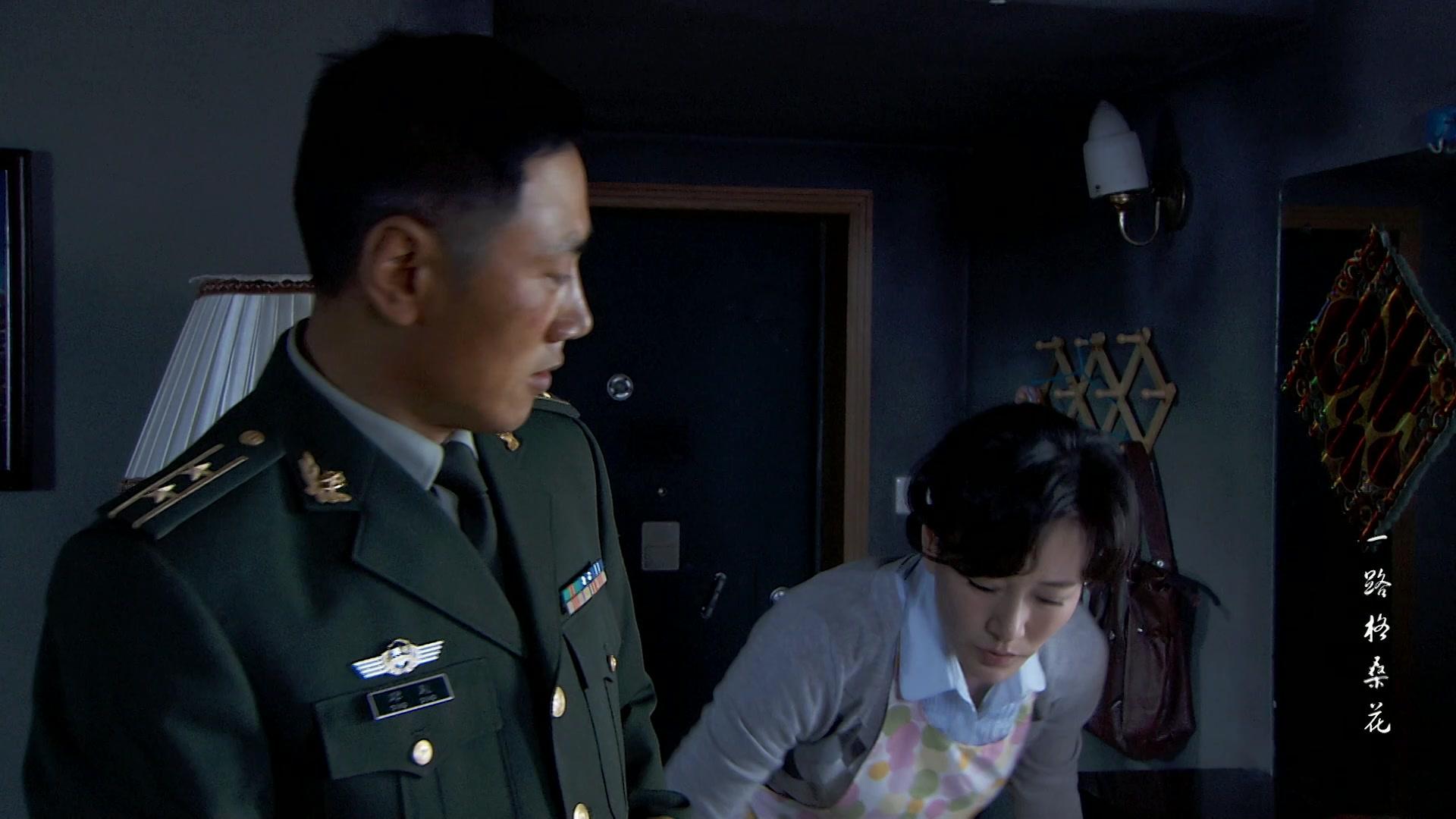 一路格桑花 第14集视频封面图