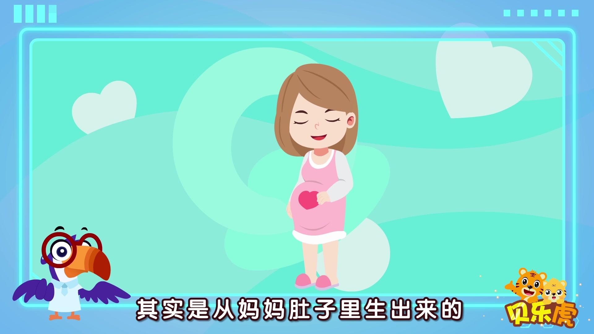 贝乐虎大百科 第8集视频封面图