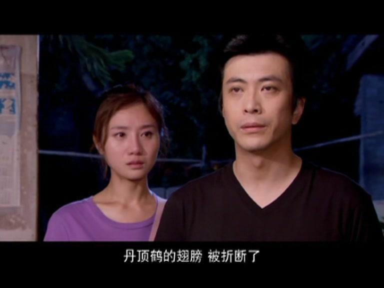 遍地阳光 第35集视频封面图