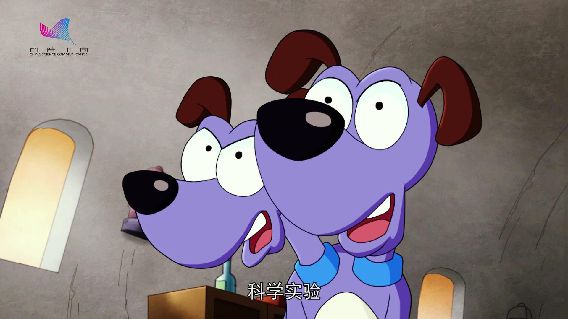科普中国之乐乐熊读科学 第48集视频封面图