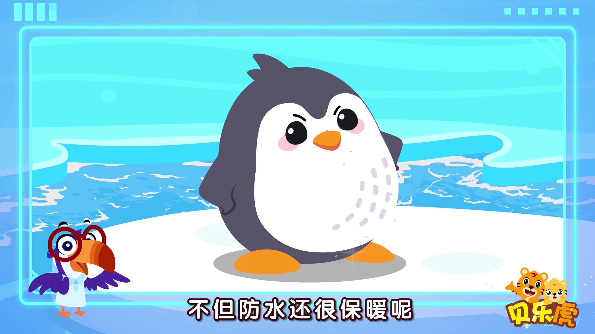 贝乐虎大百科 第26集视频封面图