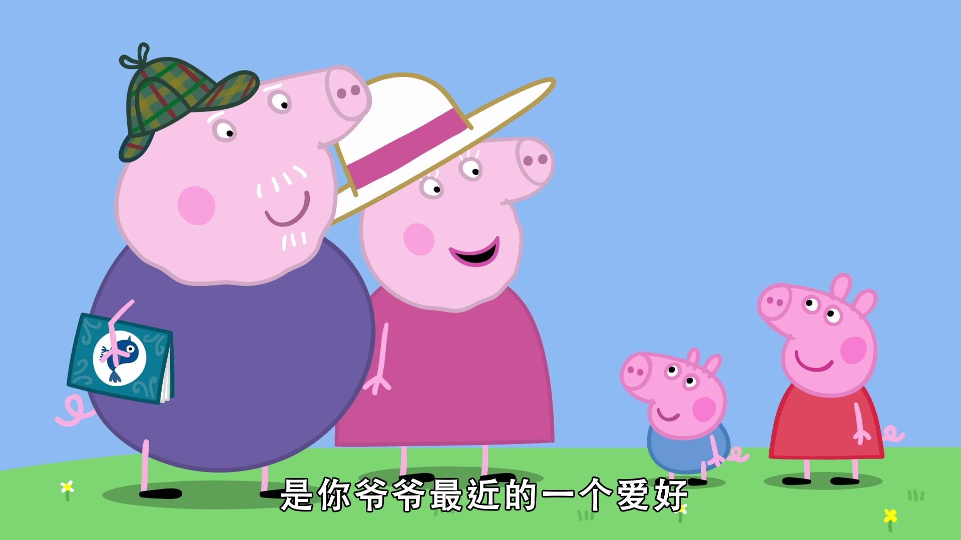 小猪佩奇第八季 第18集视频封面图