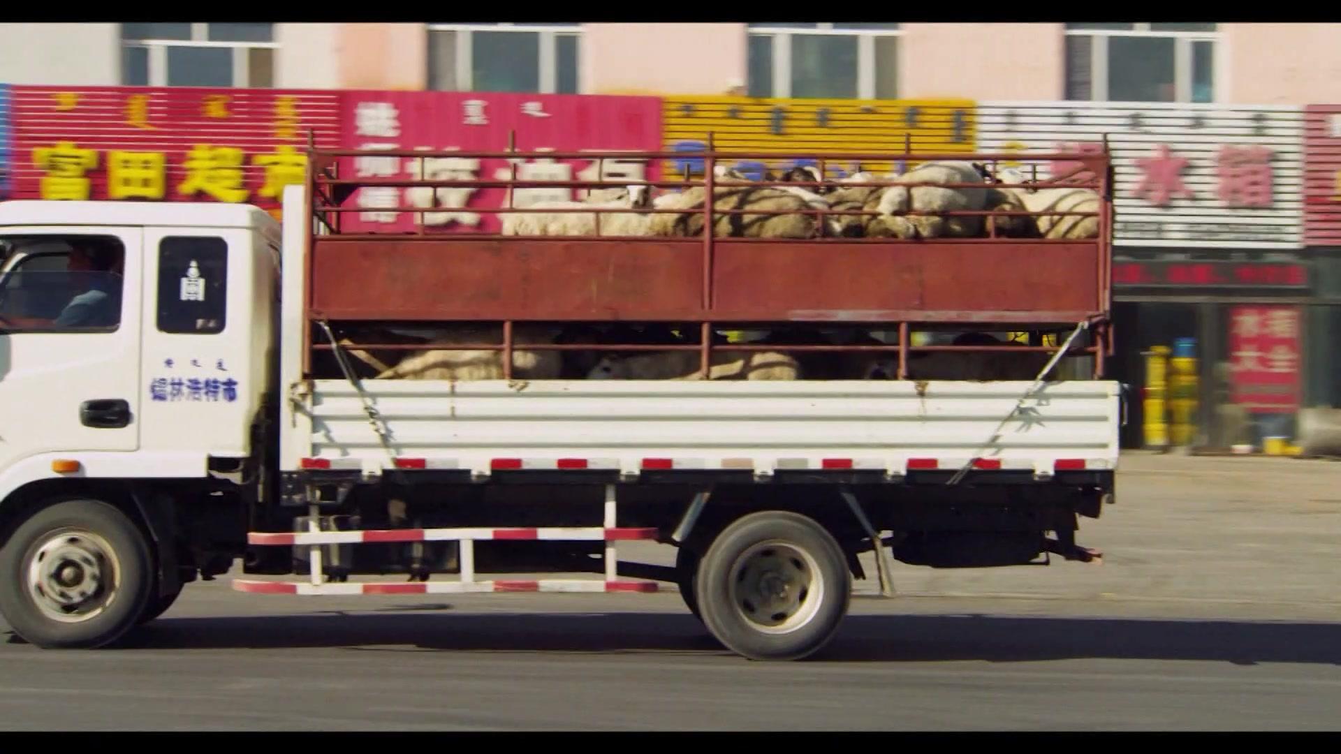 在草原上 第18集视频封面图