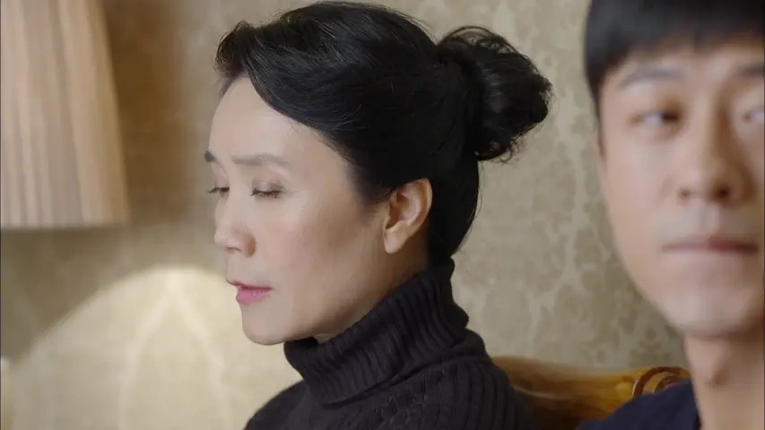 相亲相爱一家人 30集