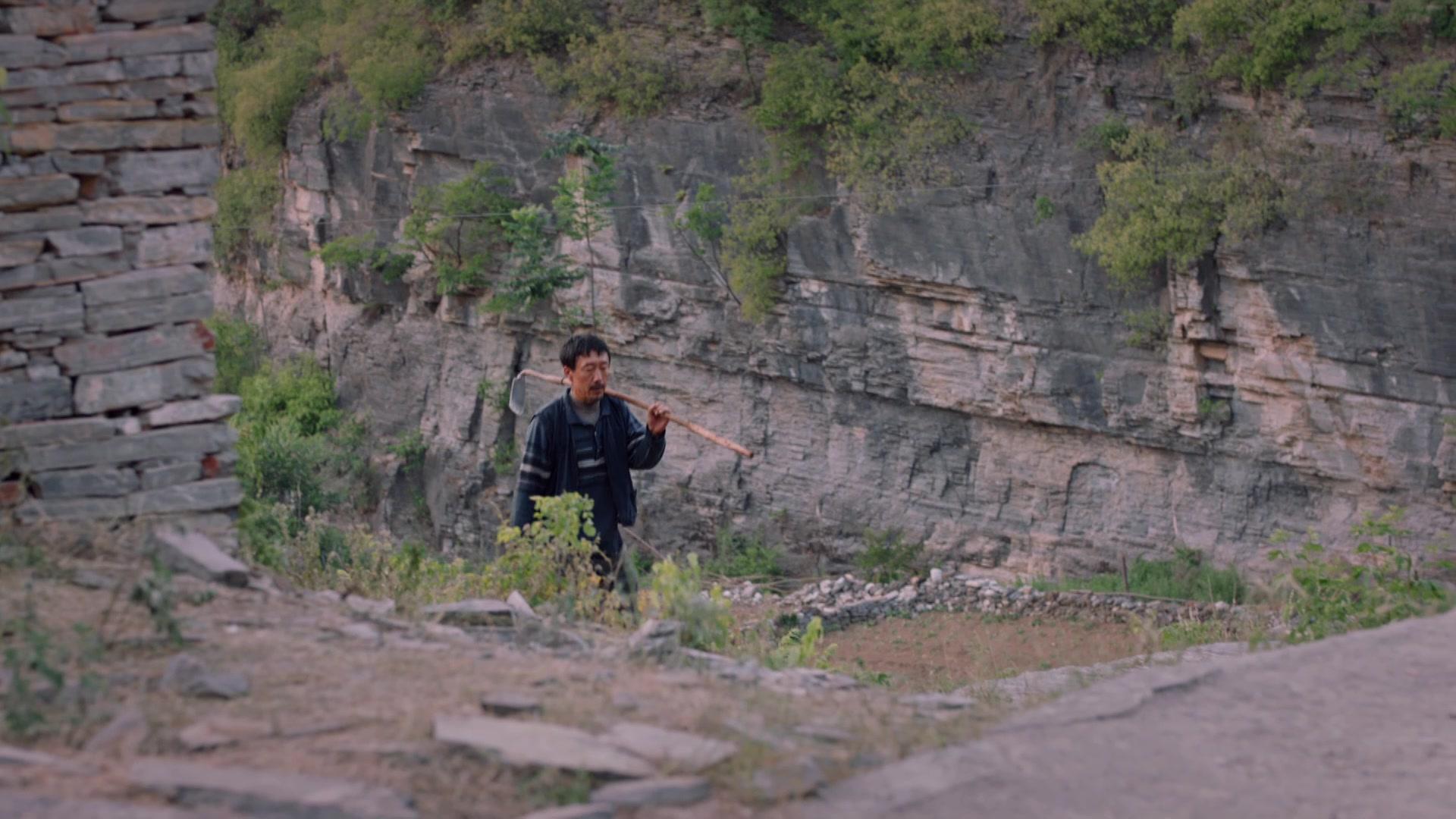 花开山乡 第7集视频封面图