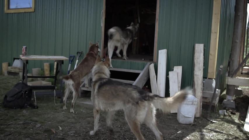 《零度以下的生活第五季》第13集