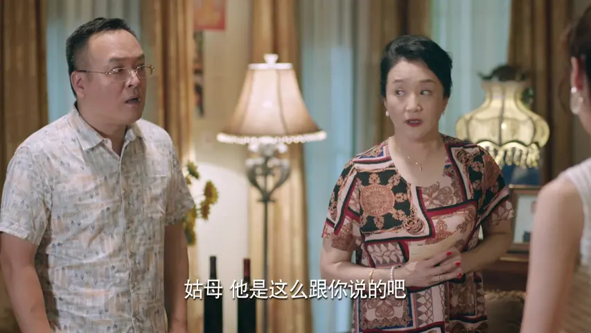 梦在海这边 17集
