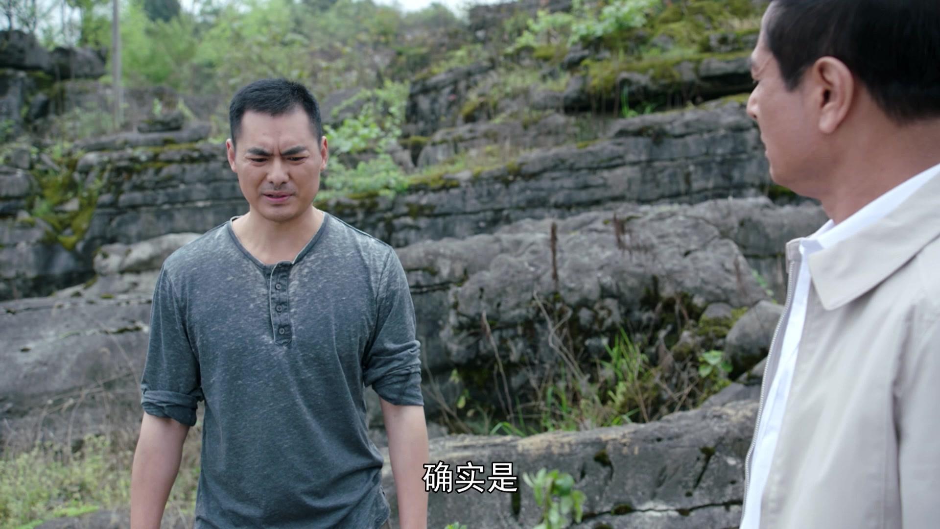 花繁叶茂 第20集视频封面图