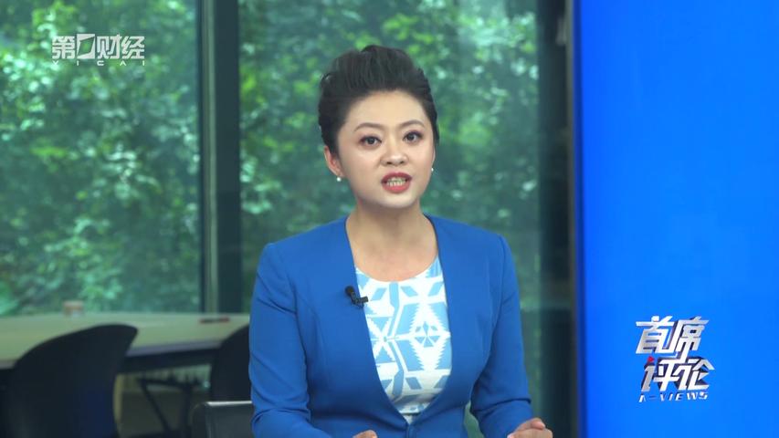 《首席评论》第14期