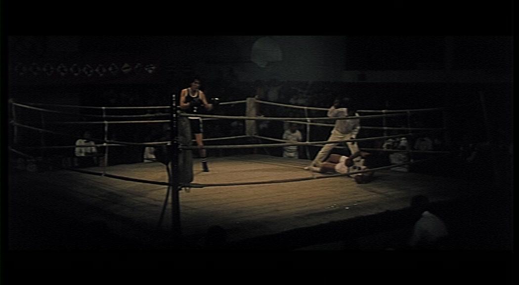 心兰的故事视频封面图