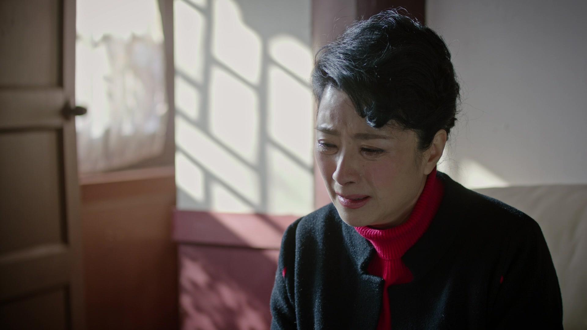 高兴的酸甜苦辣 第29集视频封面图