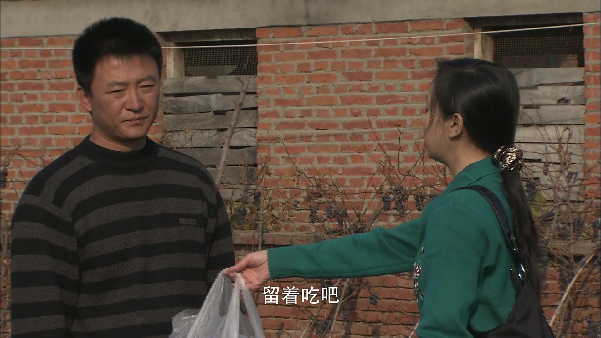 绿野 第17集视频封面图