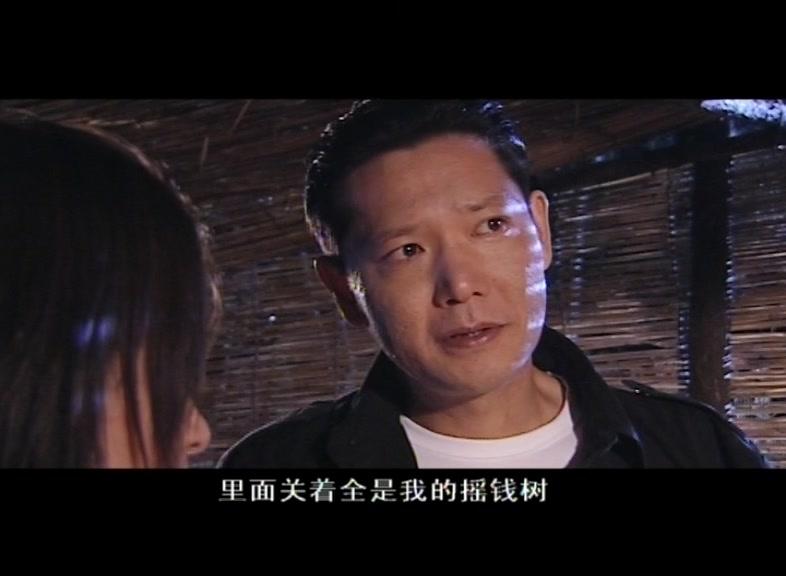 又见花儿开 第20集视频封面图