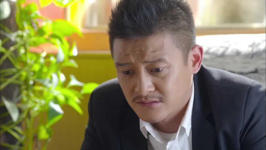 相亲相爱一家人 31集
