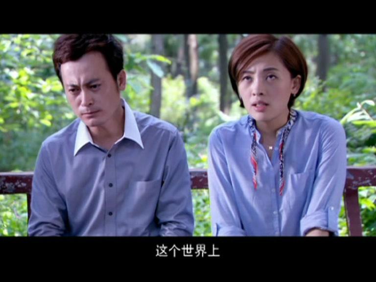 遍地阳光 第32集视频封面图