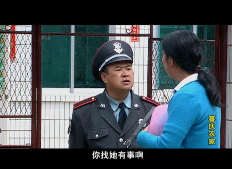 喜庆农家 第9集视频封面图