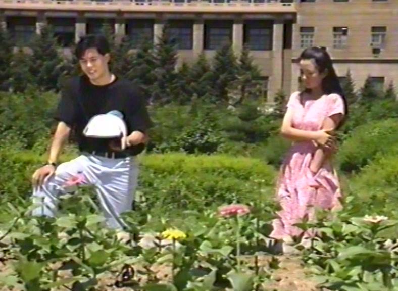 痴情不改 第6集视频封面图