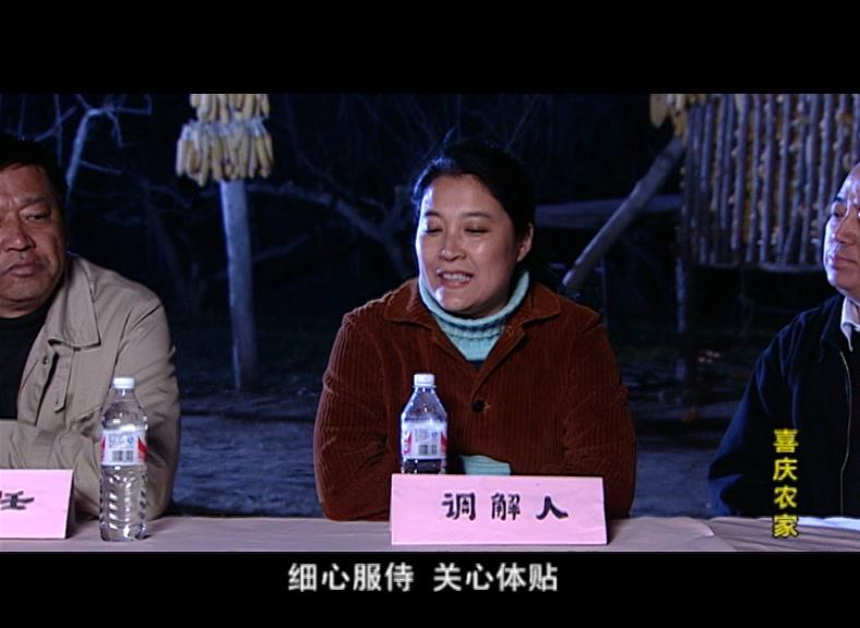 喜庆农家 第3集视频封面图