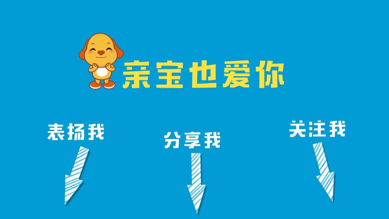 亲宝文化：学英语 12集