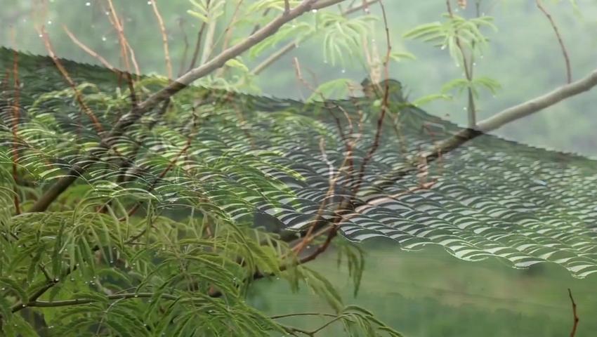 《二十四节气》第15集