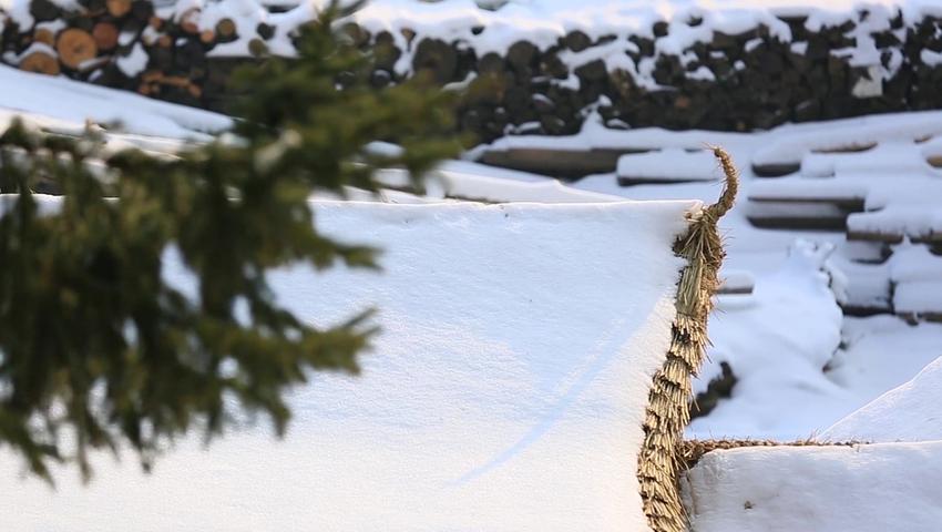《二十四节气》第23集