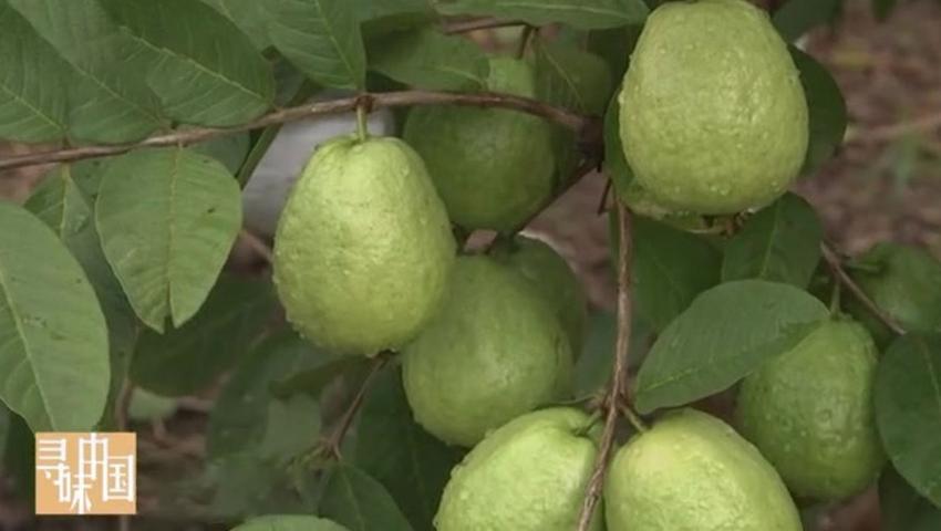 《寻味中国》第20集